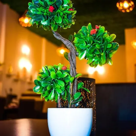 Complex Fortuna אפורי סוד